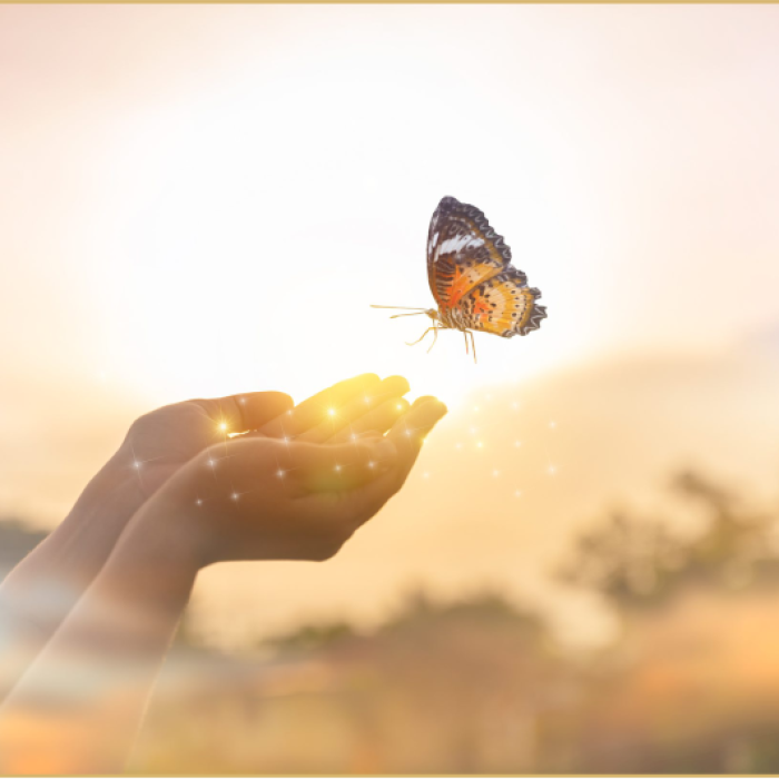 nlp training classes in wakad, yoga classes in wakad pune